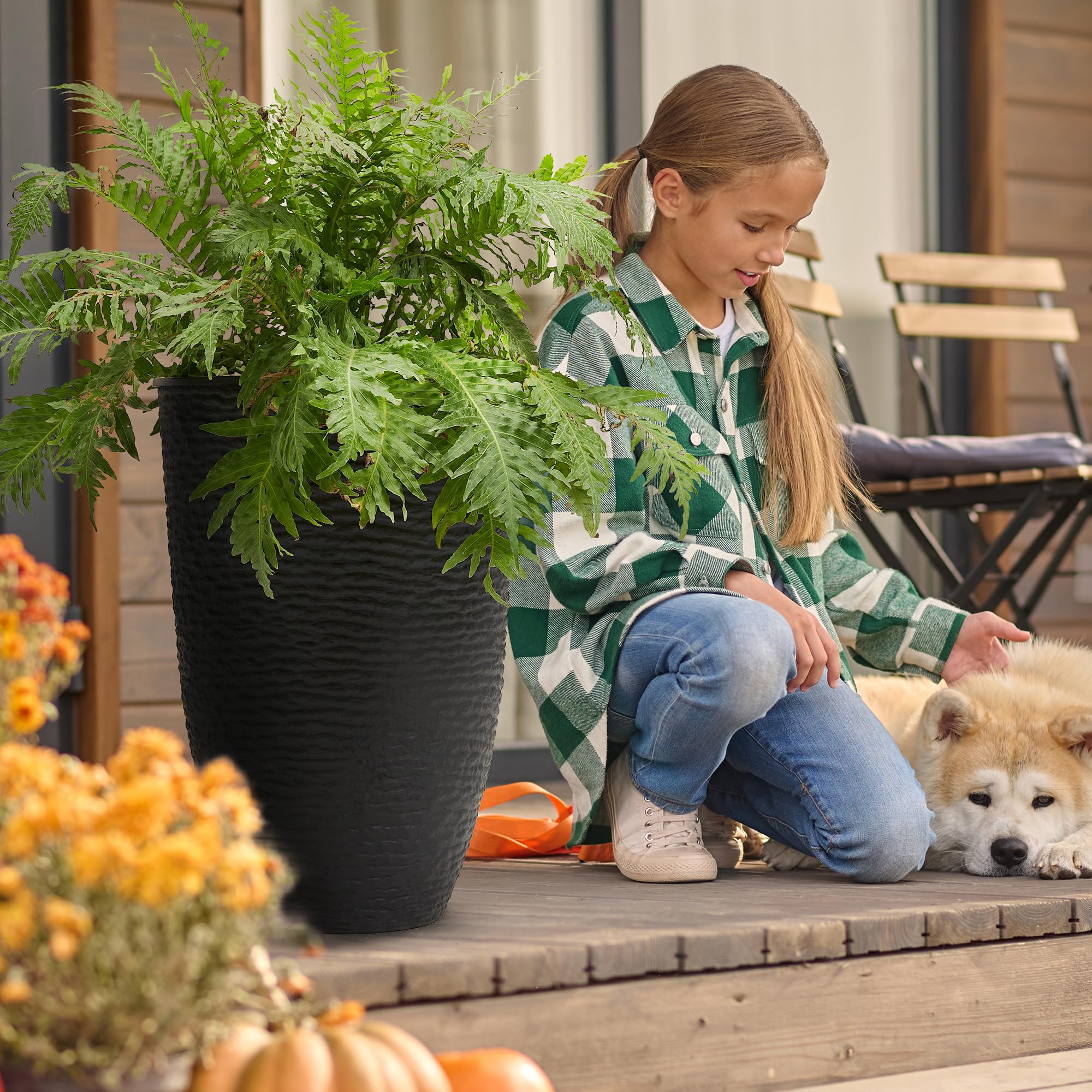 Worth planter containing a small tree showing depth and root space for healthier growth
