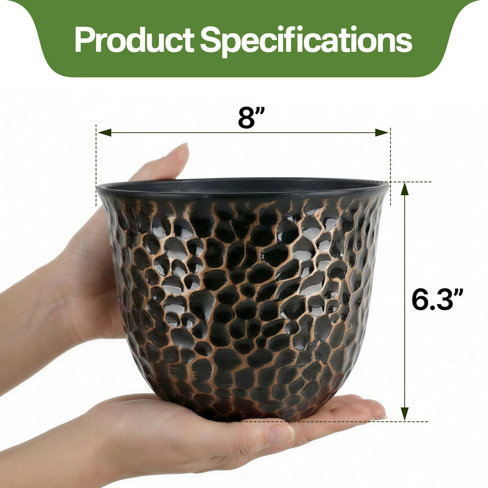 Worth Garden pot holding snake plant on windowsill adding visual greenery indoors