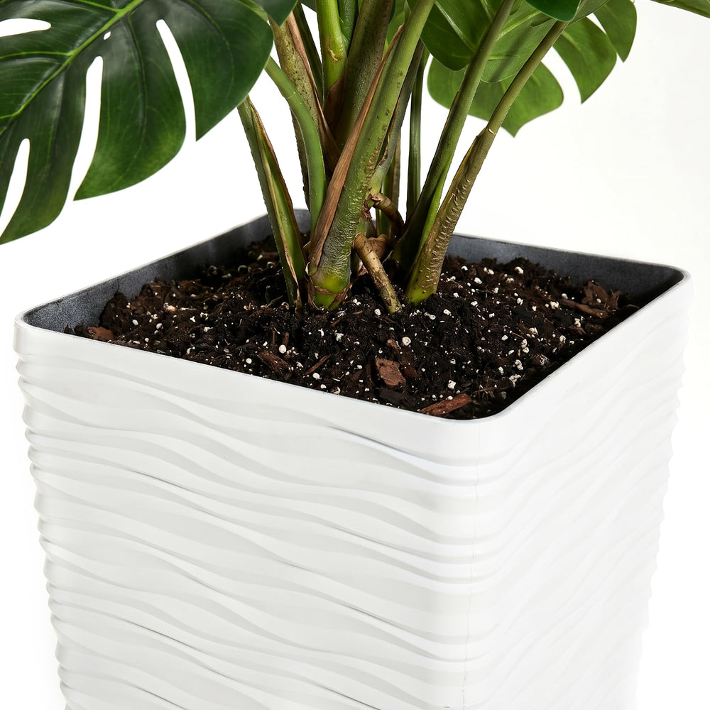 Worth planter in use with snake plant demonstrating vertical greenery display