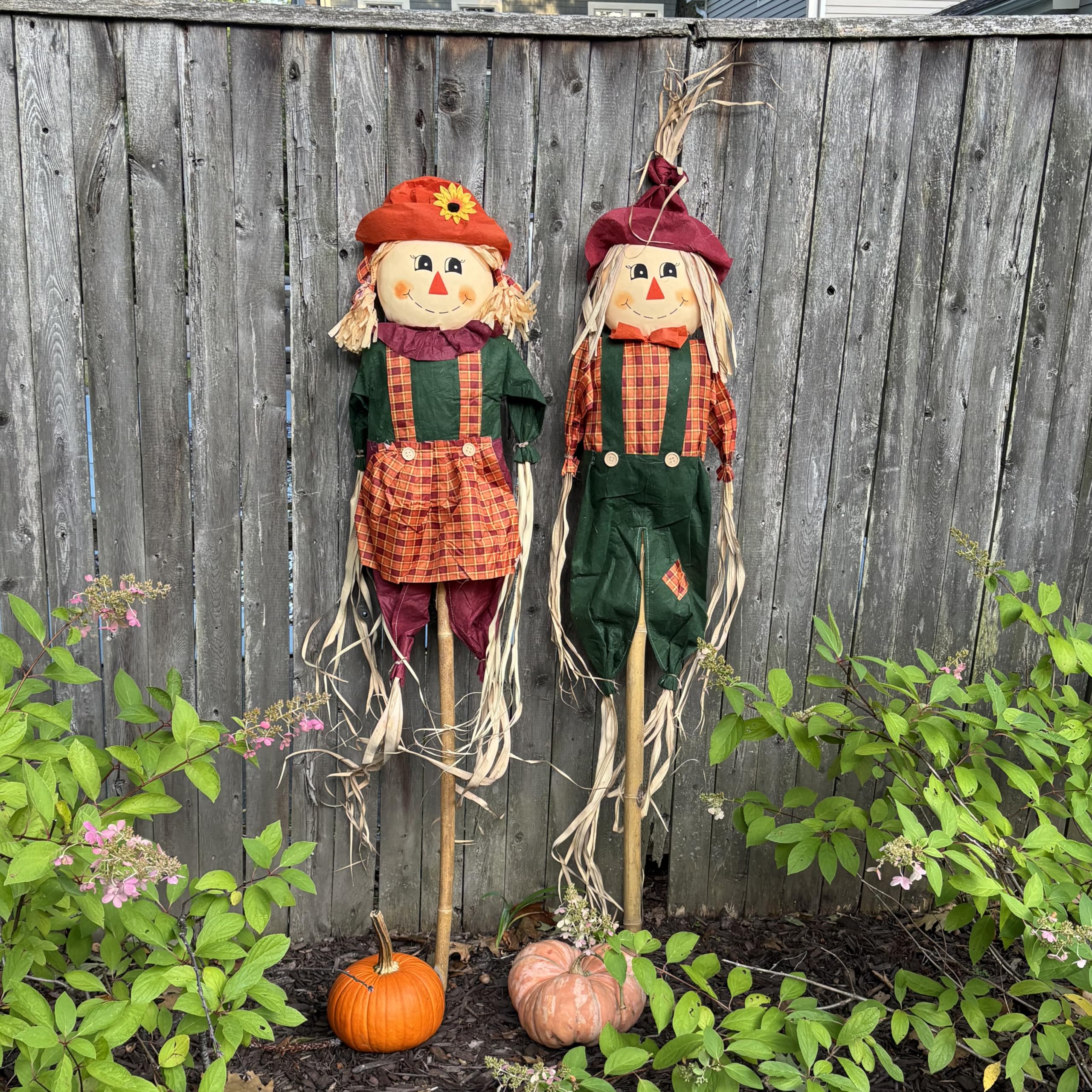 Worth Imports pair staged in yard by pumpkins showing scale and seasonal impact