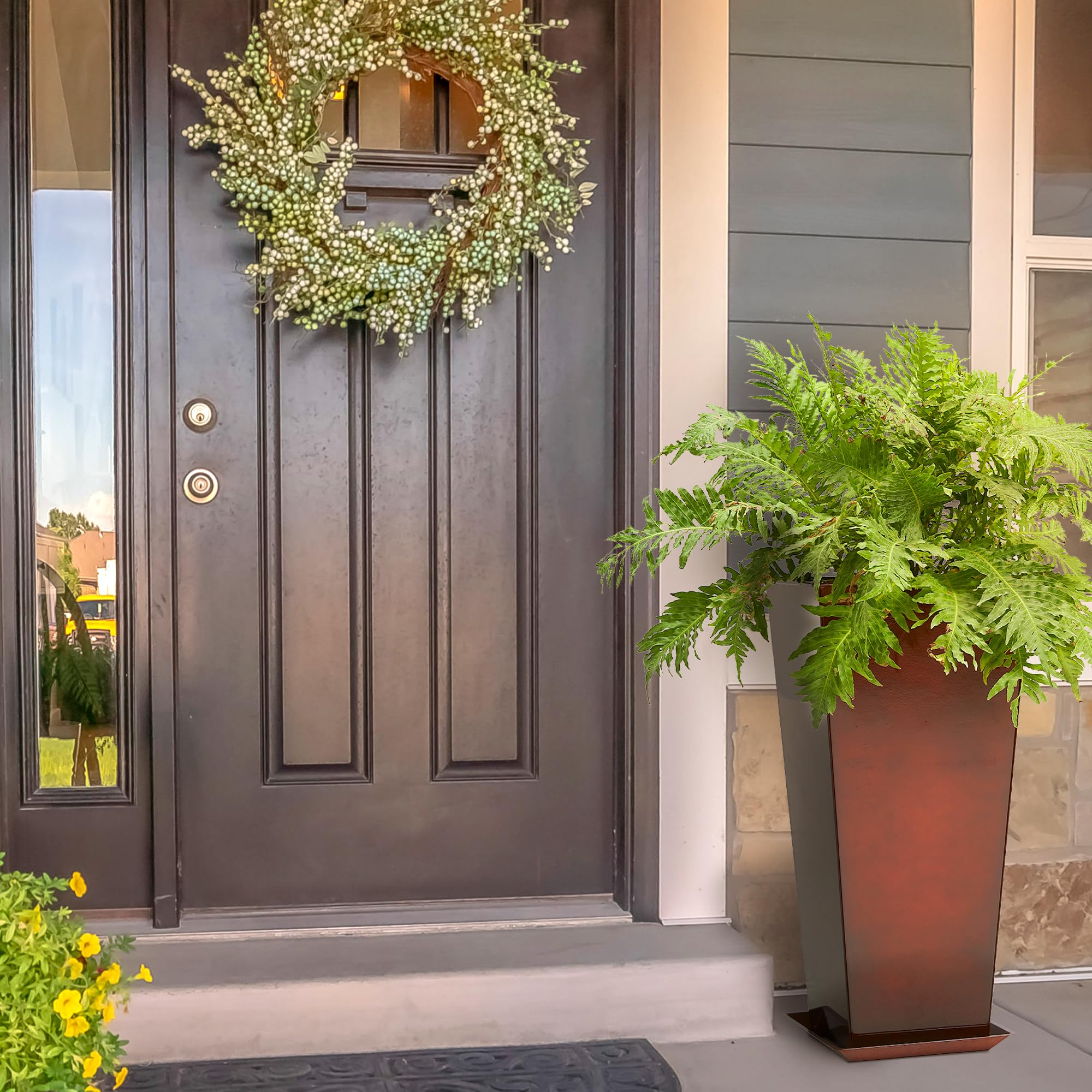 Worth planted in living room illustrating decorative impact and healthy plant support