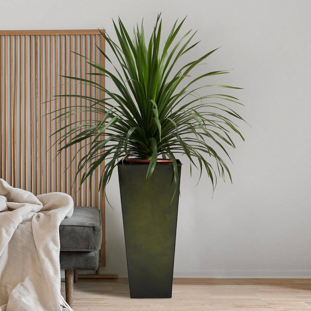 Worth set of two staged display creating balanced symmetry and style