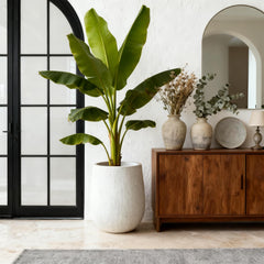Worth side profile showing tall silhouette and stable base for plants
