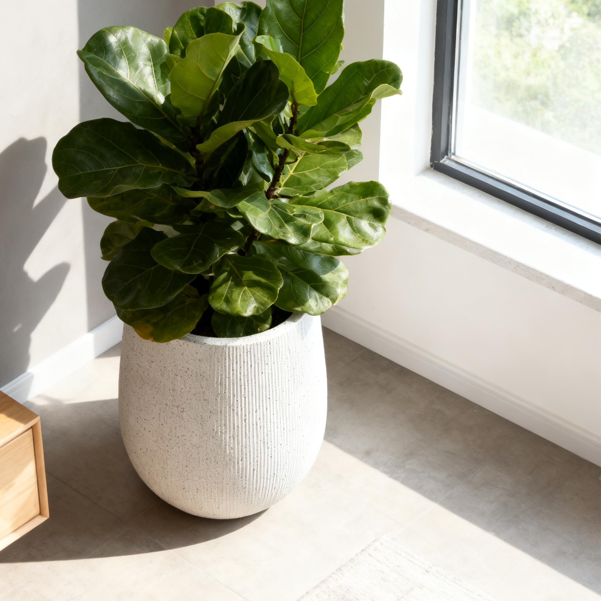 Worth planter beside a chair to show dimensions and room placement benefit