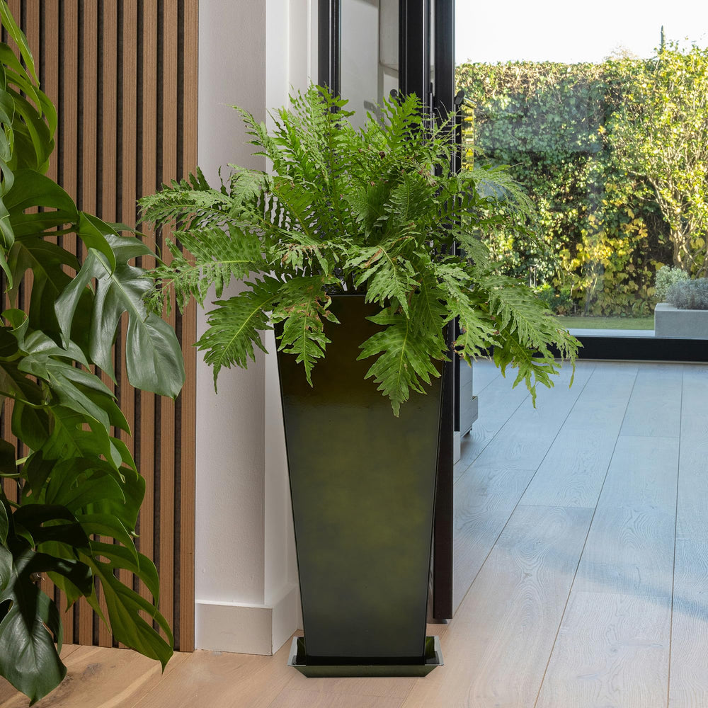 Worth planter staged with fiddle-leaf fig showing dramatic room accent