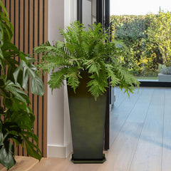 Worth planter staged with fiddle-leaf fig showing dramatic room accent