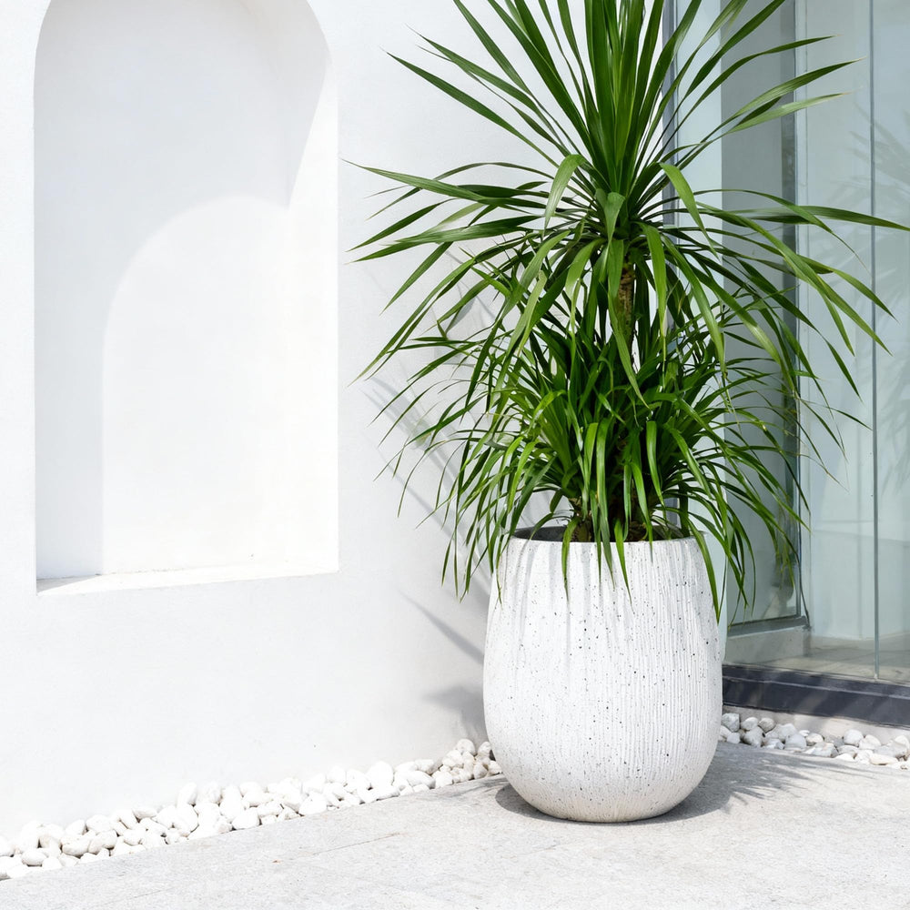 Worth planter staged with foliage illustrating aesthetic upgrade and scale