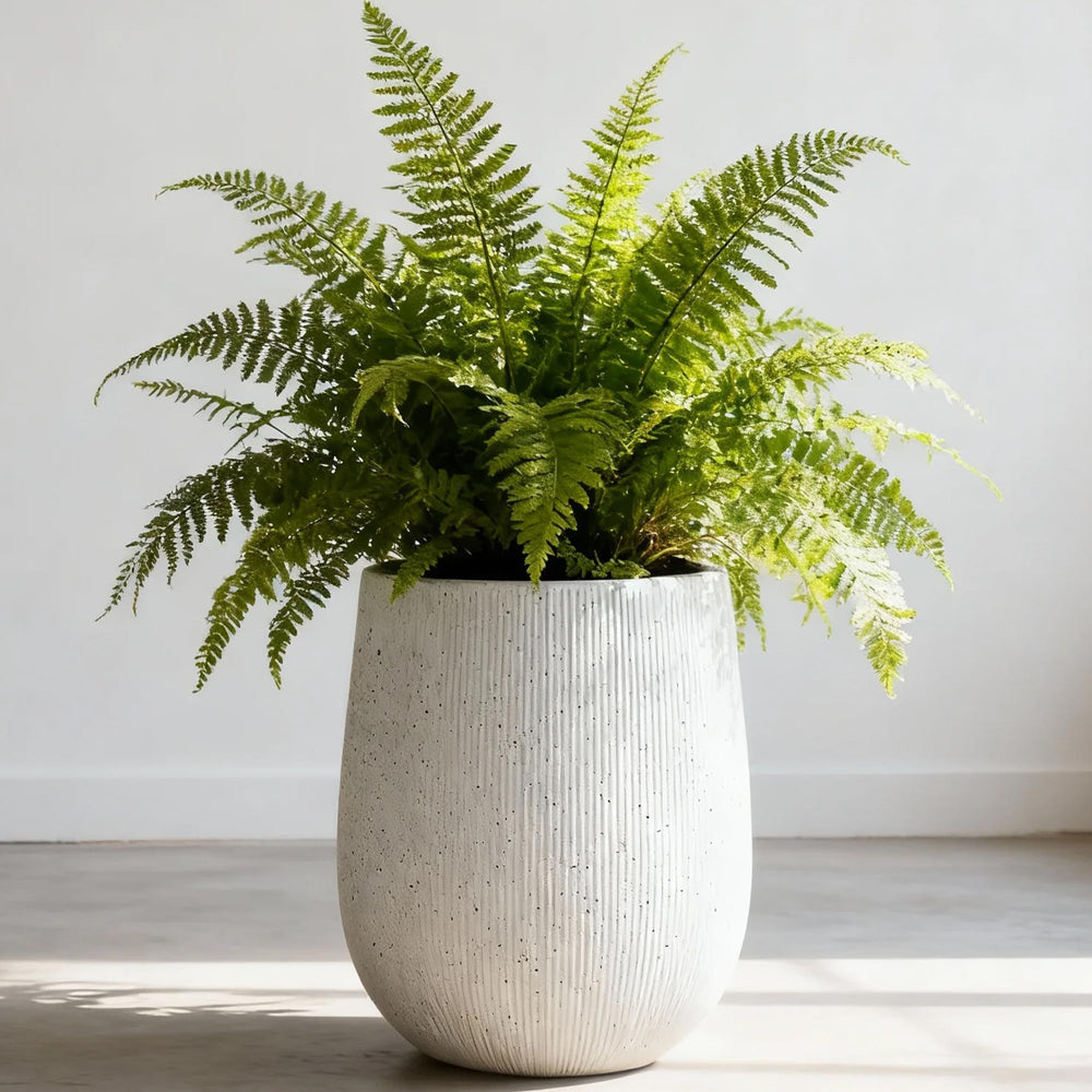 Worth front view of planter showing modern concrete-look and easy placement