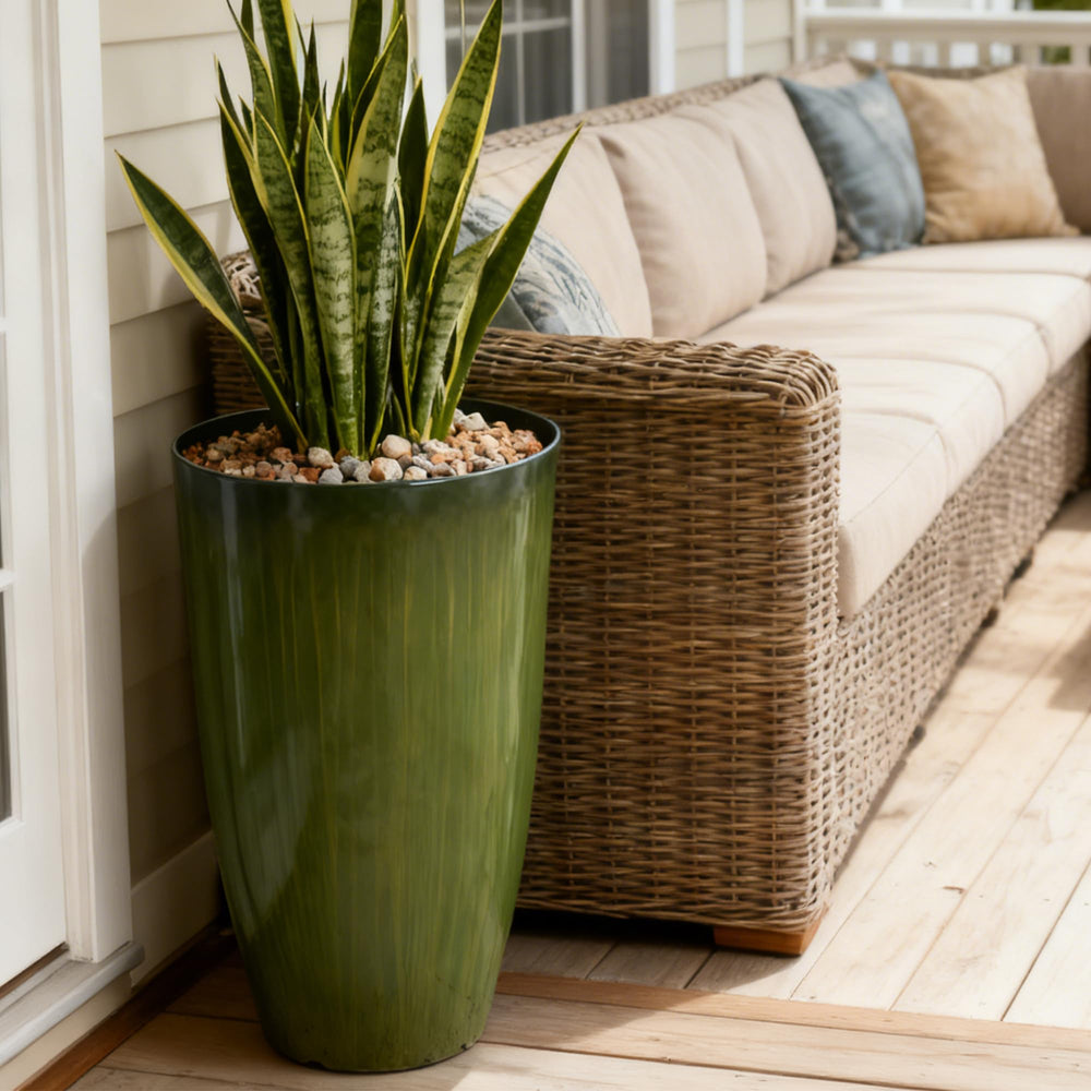 Worth side profile showing tall silhouette for large plants benefit