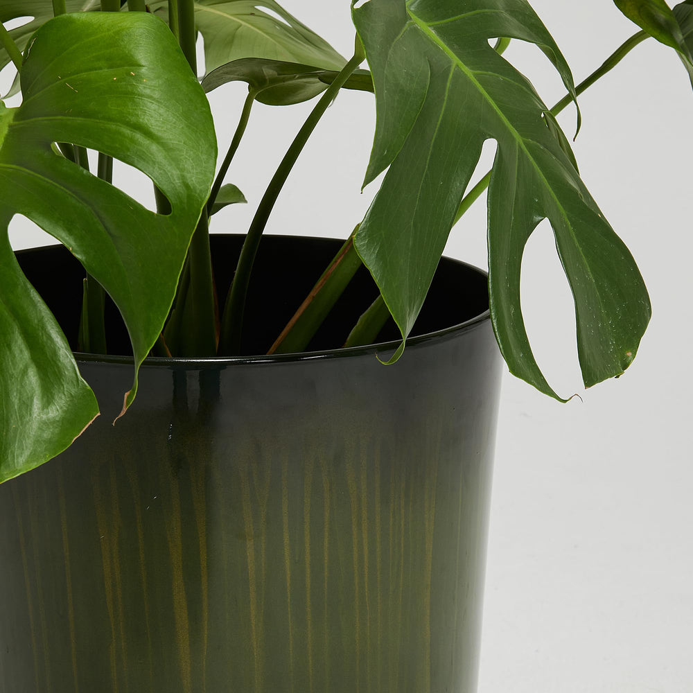 Worth twin planters flanking doorway giving balanced styling benefit
