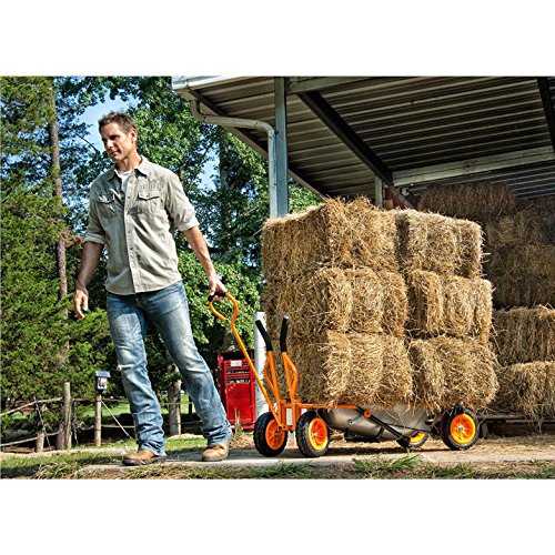WORX WA0228 size comparison with garden tools for scale and capacity
