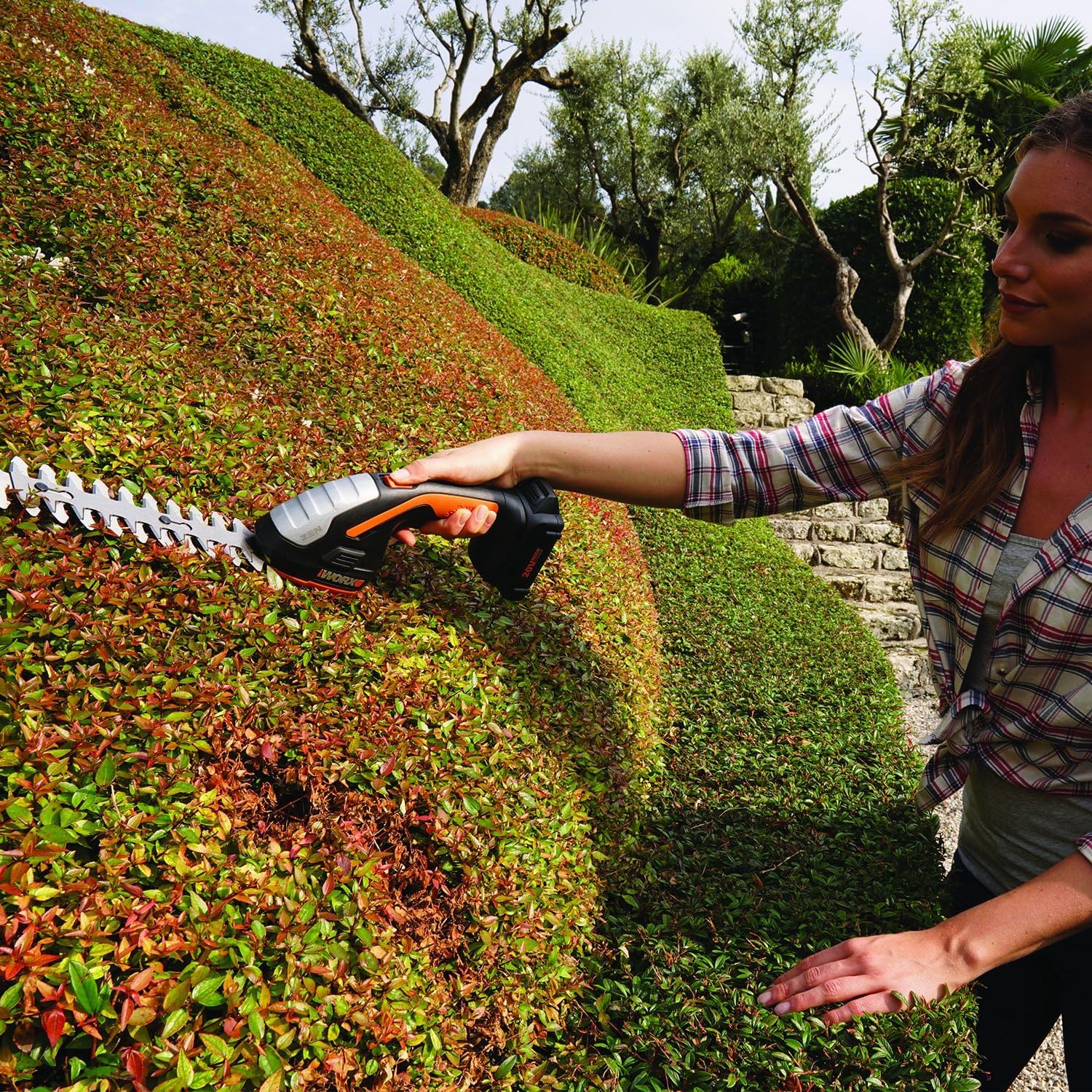 WORX WG801 attached to pole extension reaching tall hedge safely