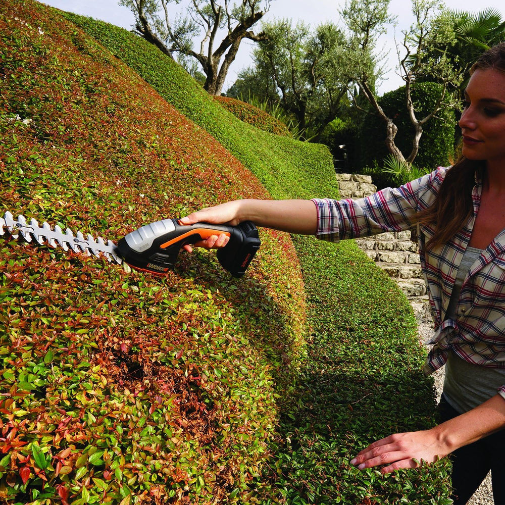 WORX WG801 attached to pole extension reaching tall hedge safely