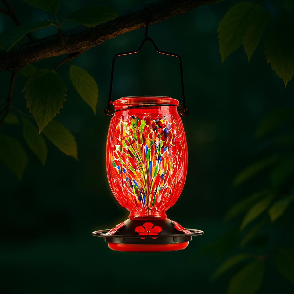 WOSIBO feeder lit at dusk showing illuminated glass benefit: evening visibility