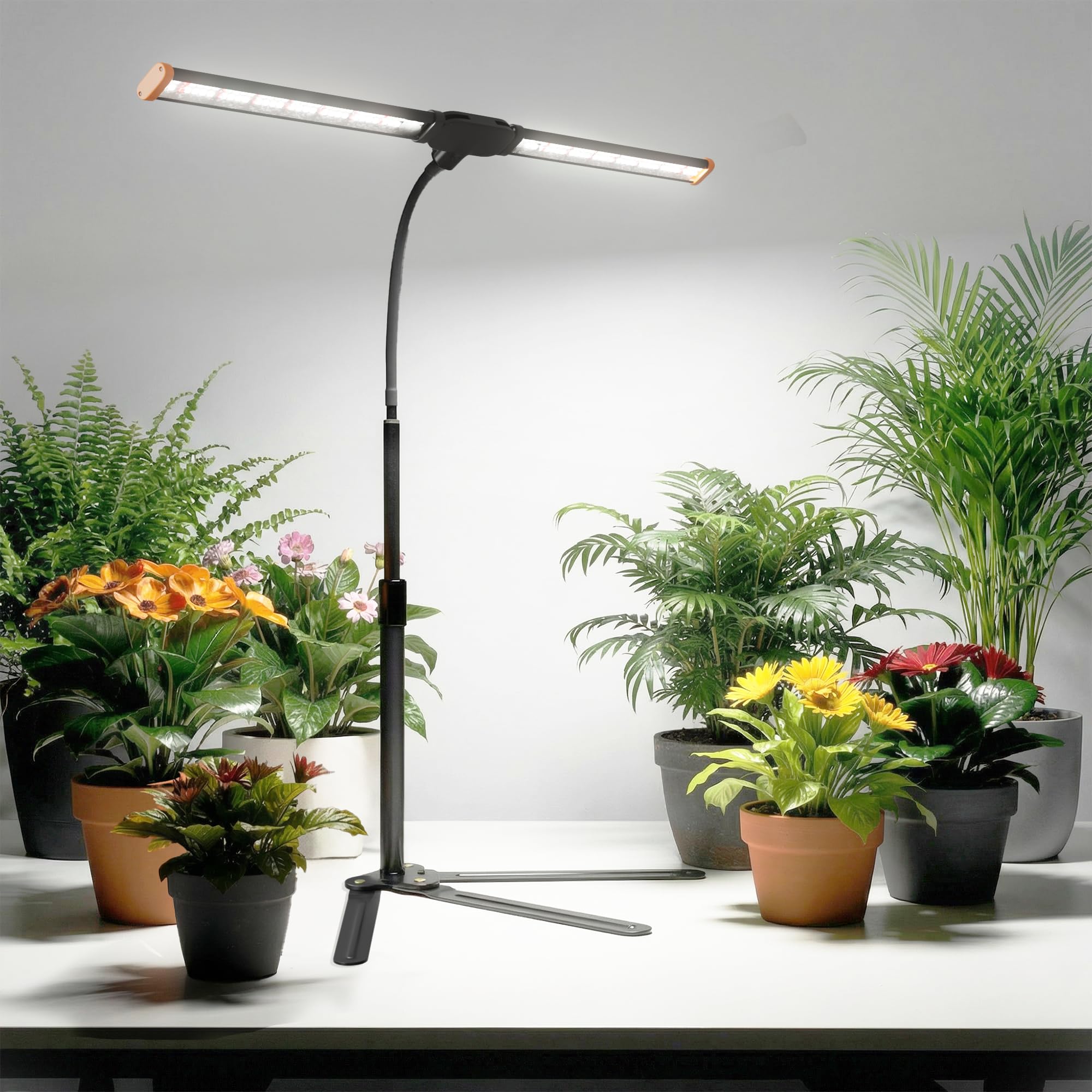 Wotime lifestyle scene with herbs and succulents showing practical indoor use