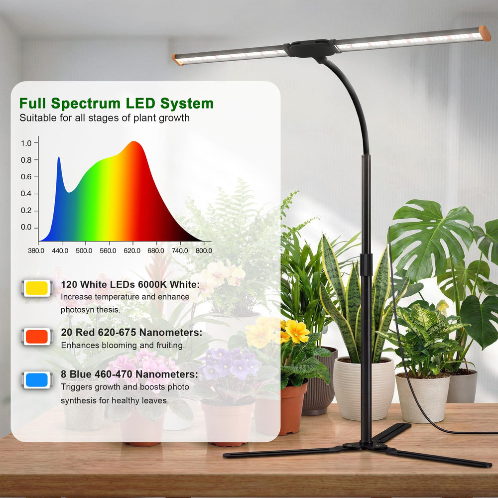 Wotime lamp next to plant pots for scale and versatile desktop fit