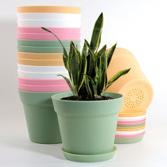 WOUSIWER front view of 16-pack planters showing organized set and clean look