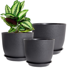 WOUSIWER front view three pots showing matching design and cohesive style