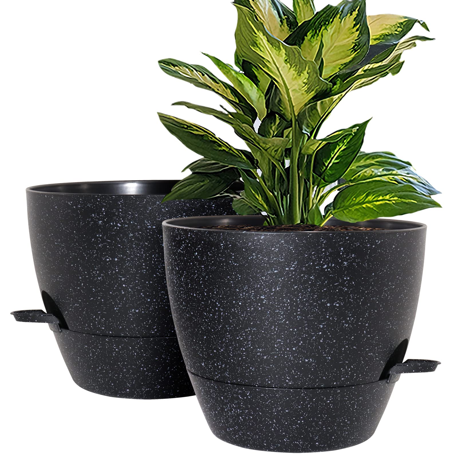 WOUSIWER front view speckled black pot displaying modern look and easy plant care