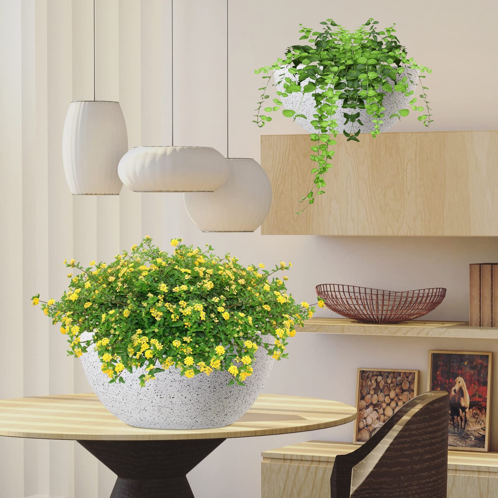 WOUSIWER two-pack boxed and ready showing both planters and included chains