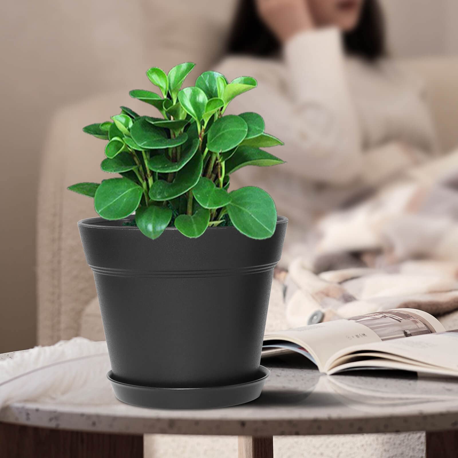 WOUSIWER potted plant on windowsill demonstrating compact indoor gardening