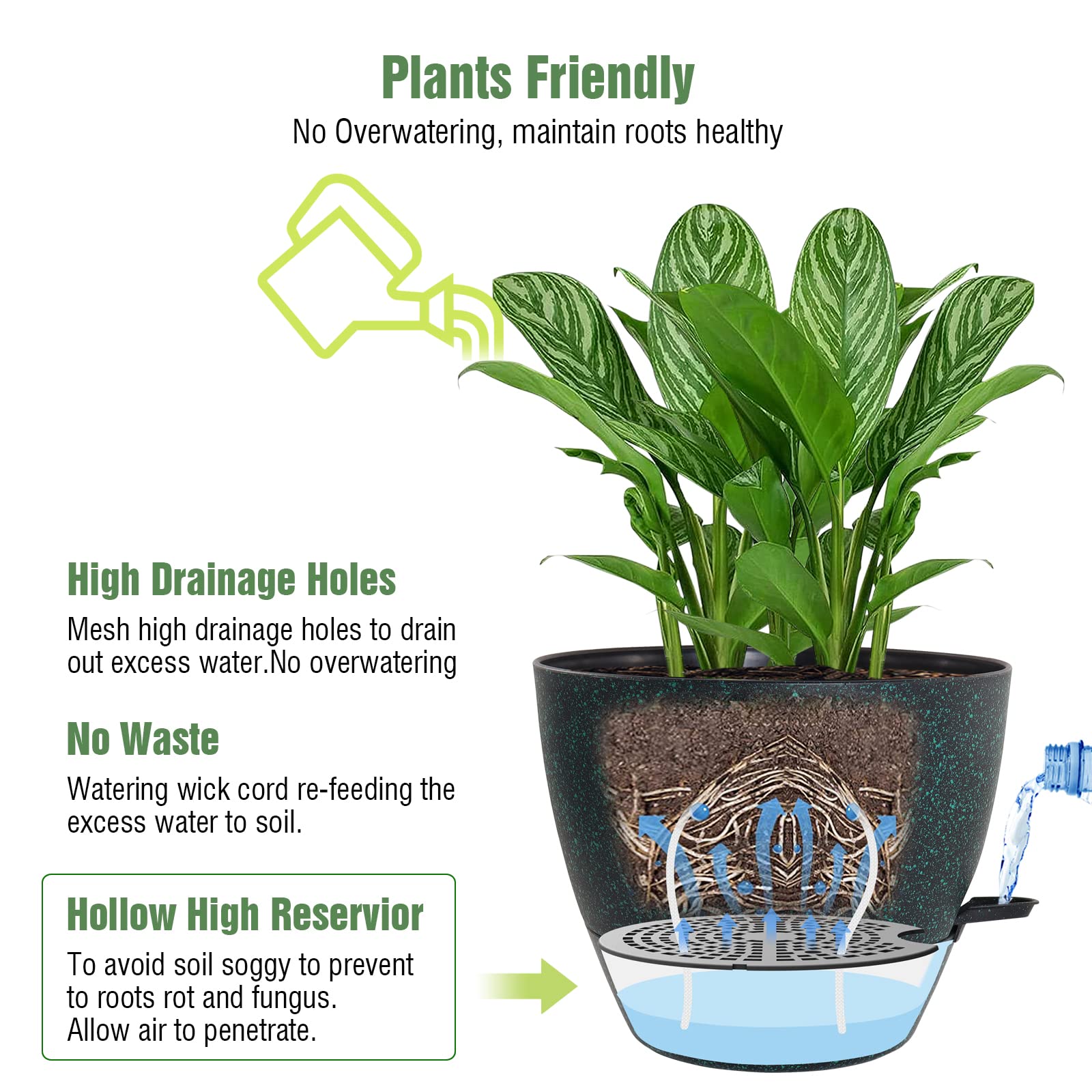 WOUSIWER repotted snake plant in pot showing good root space benefit