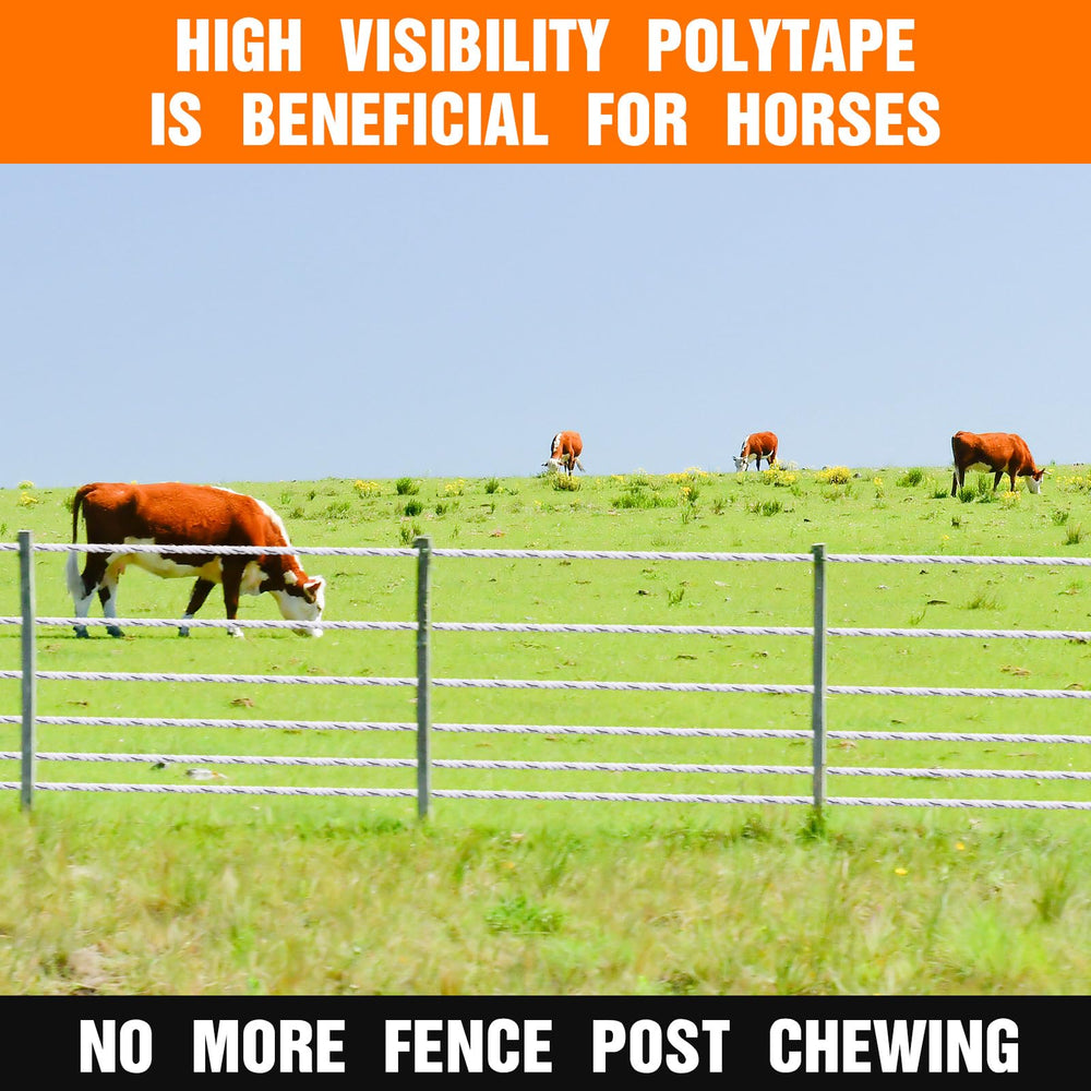 Wowangce fenced paddock lifestyle showing rotational grazing convenience