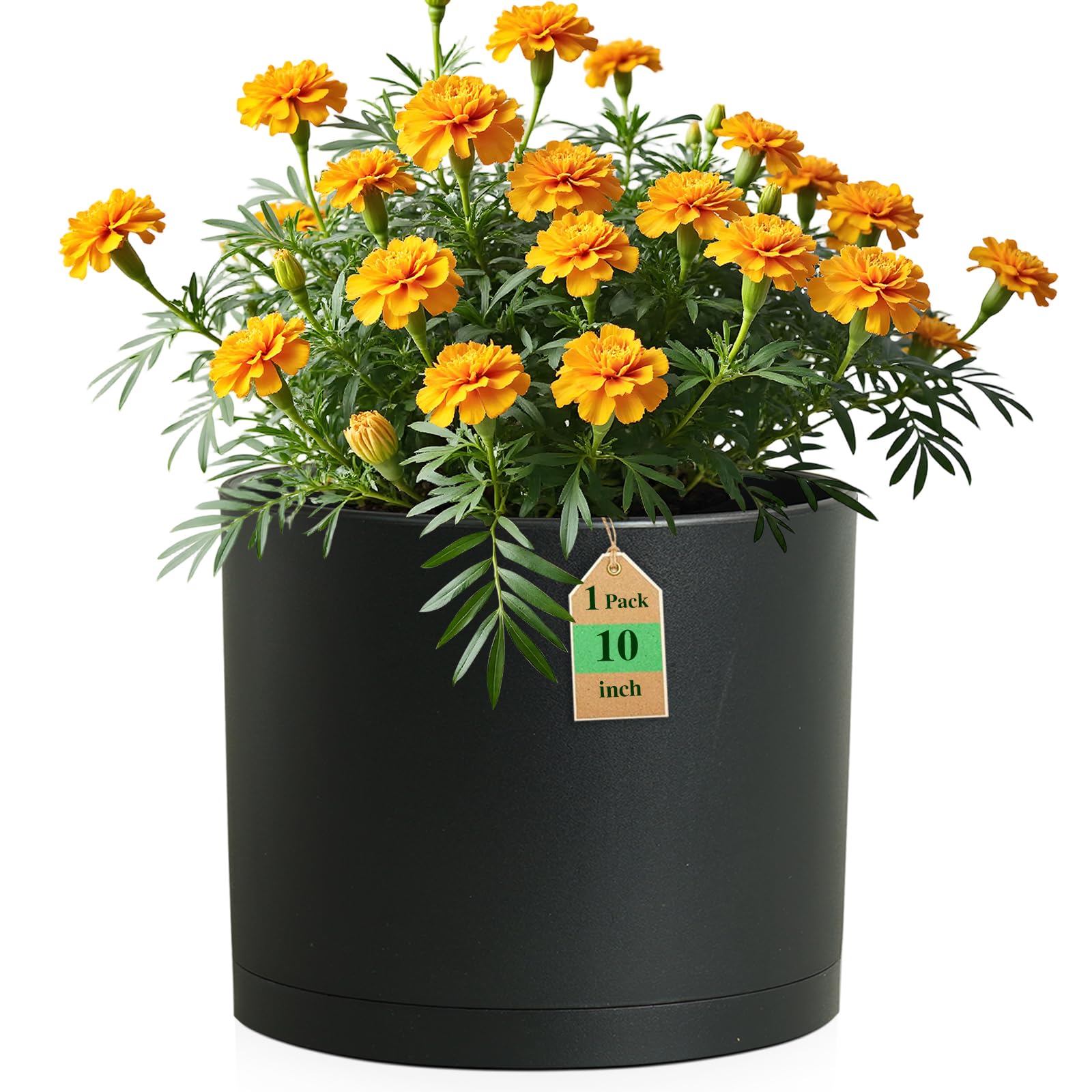 WSMKSZ front view of 10-inch matte black pot showing sleek shape and style