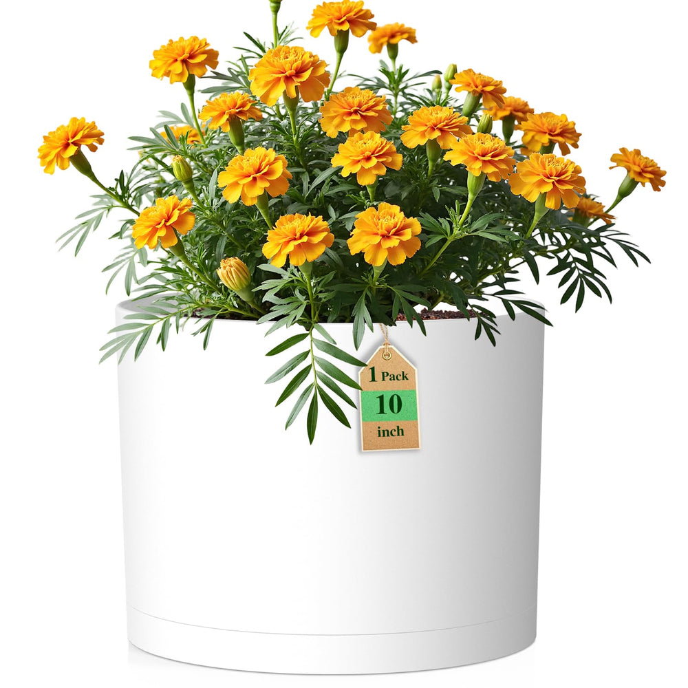 WSMKSZ front view matte white planter showing clean modern look and stability