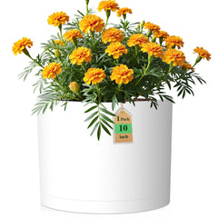 WSMKSZ front view matte white planter showing clean modern look and stability