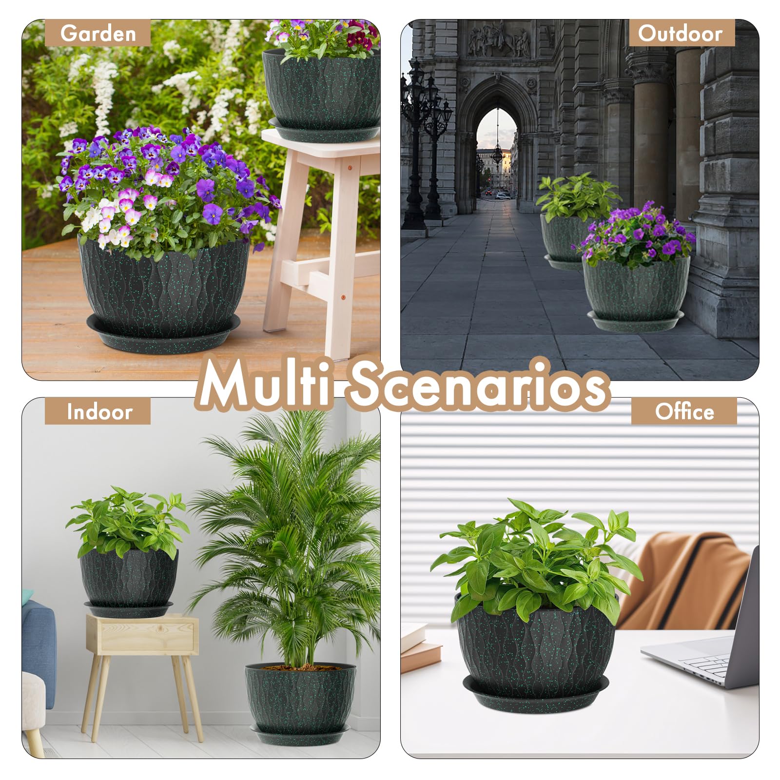WSMKSZ planted on balcony demonstrating durable outdoor use and decorative impact