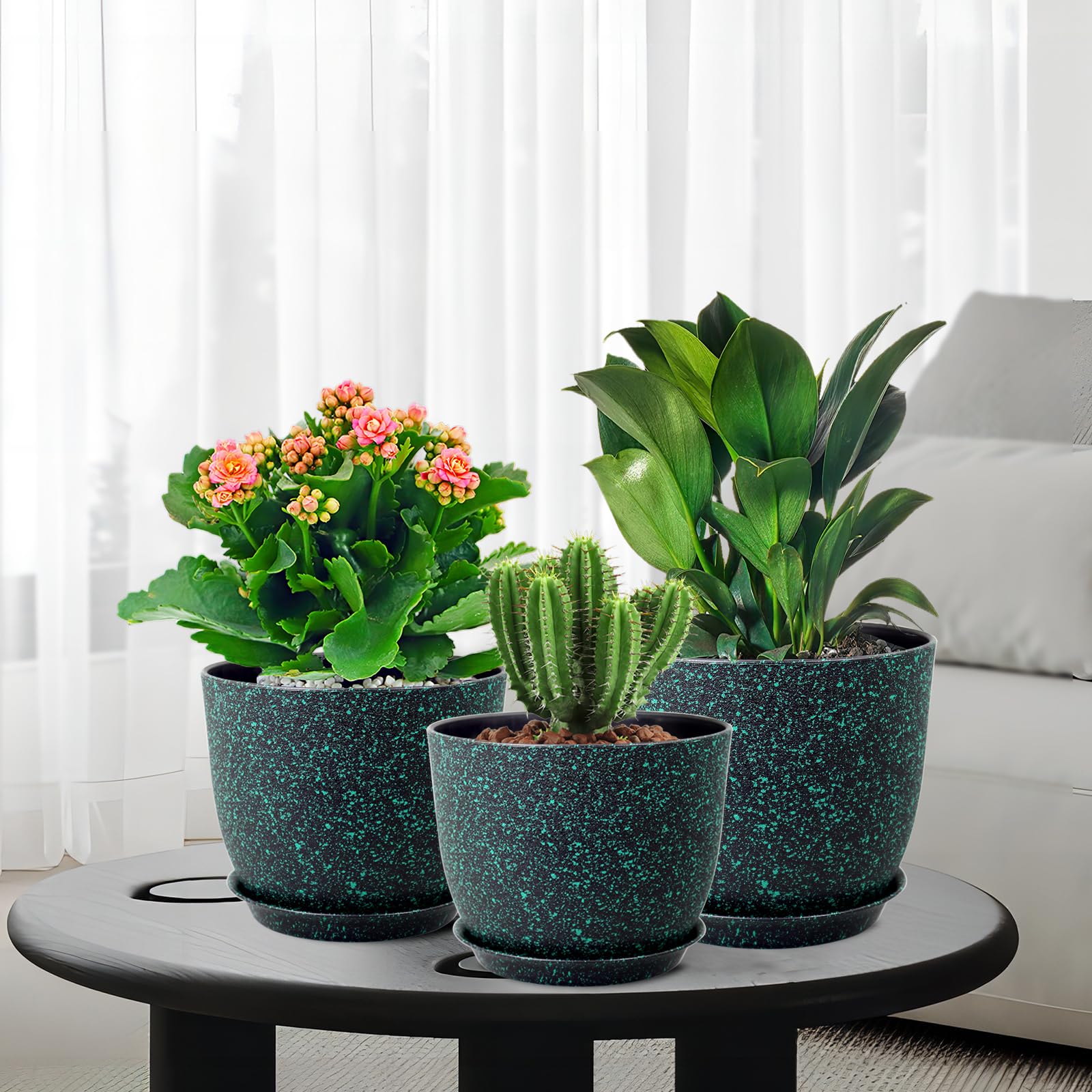 WSMKSZ trio displayed on living room shelf showing decorative appeal and space-saving use