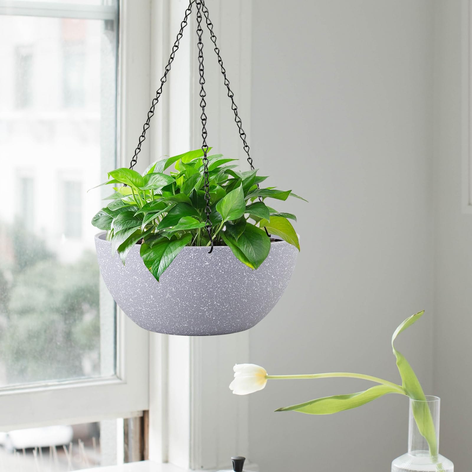 WSMKSZ planter with pothos in use showing healthy trailing growth and space-saving benefit