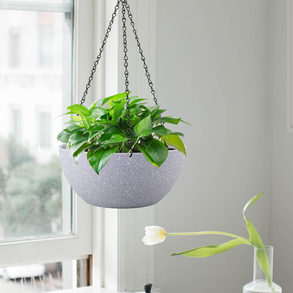 WSMKSZ planter with pothos in use showing healthy trailing growth and space-saving benefit