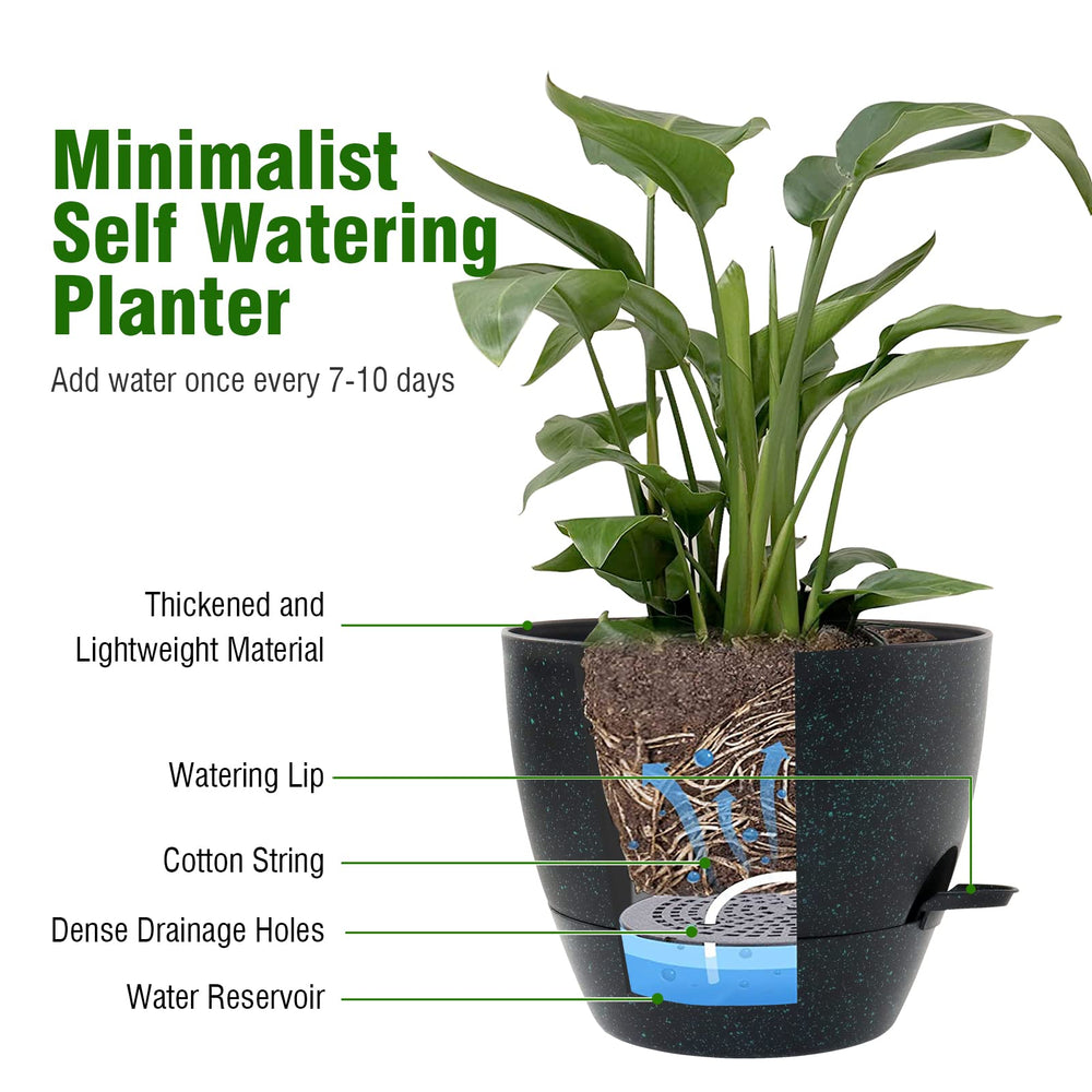 WSMKSZ size comparison of 12, 10, and 9 inch pots to show scale and versatility