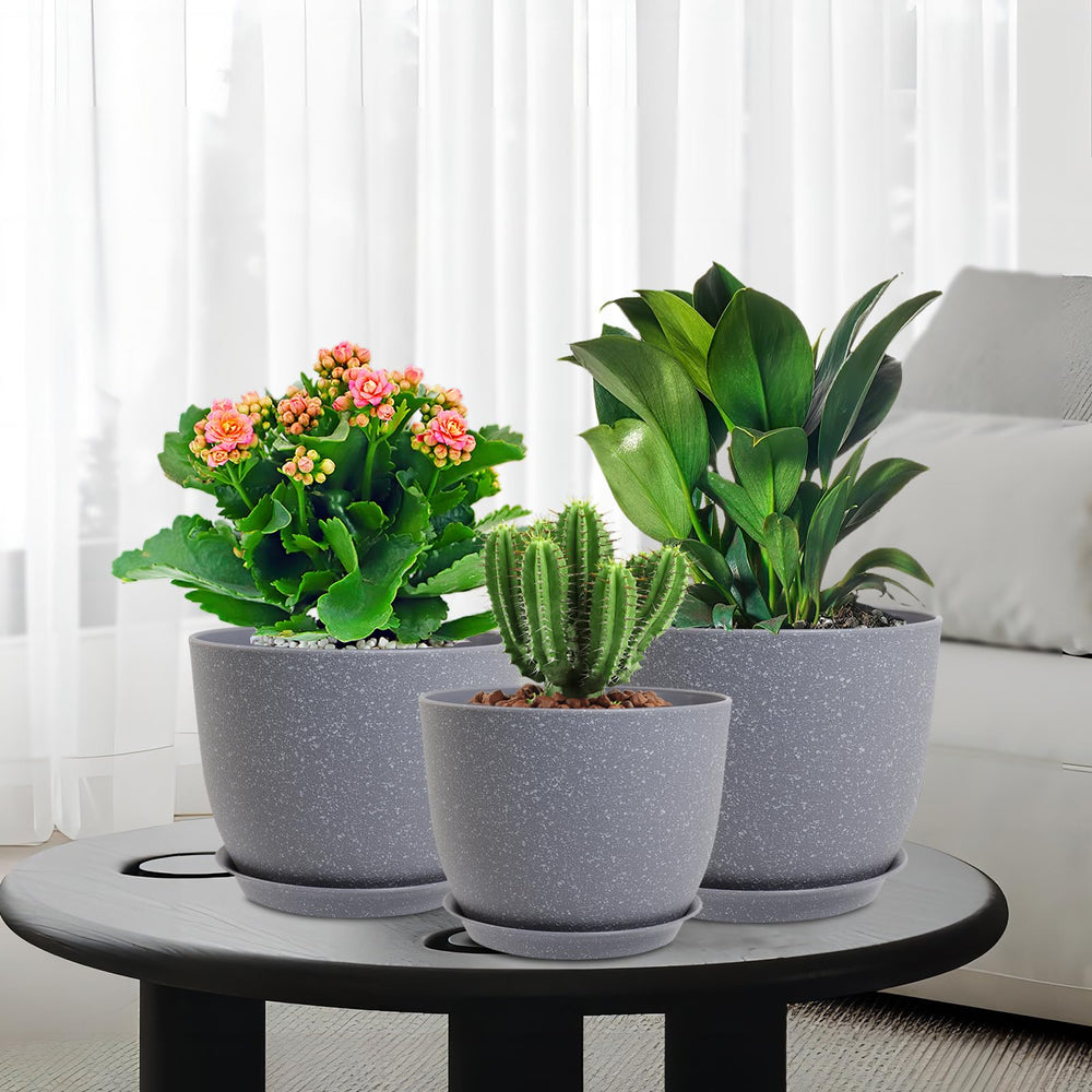 WSMKSZ side-by-side size comparison showing 10, 9, 8 inch options for plant versatility