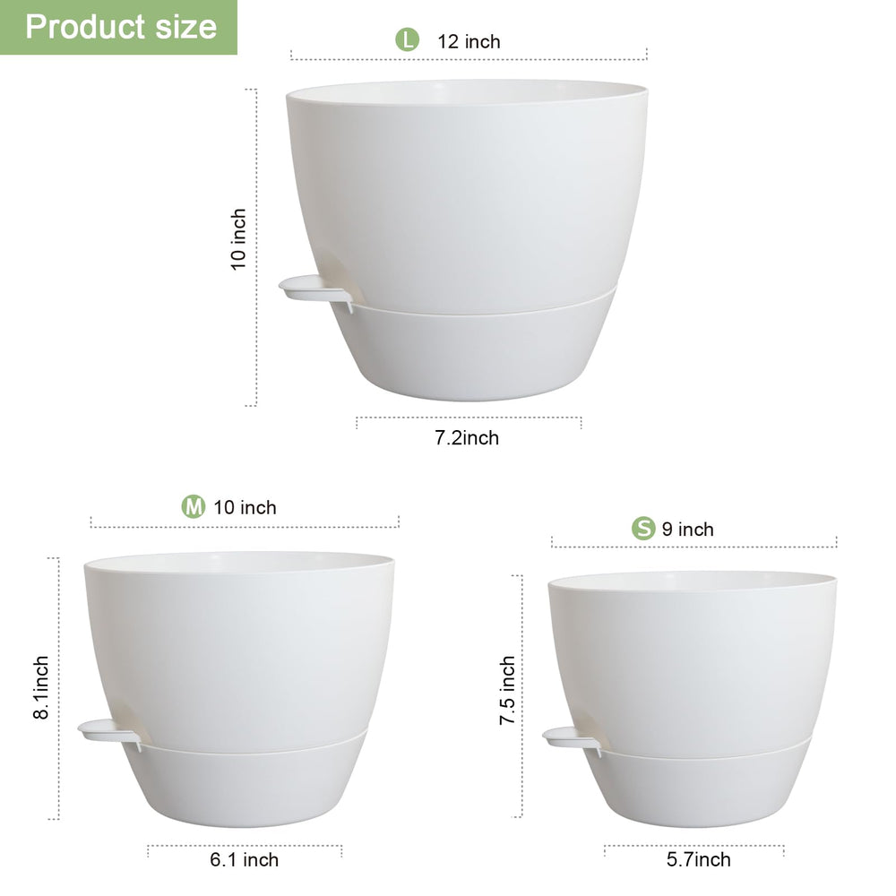 WSMKSZ top view showing removable reservoir and cotton wick for steady moisture