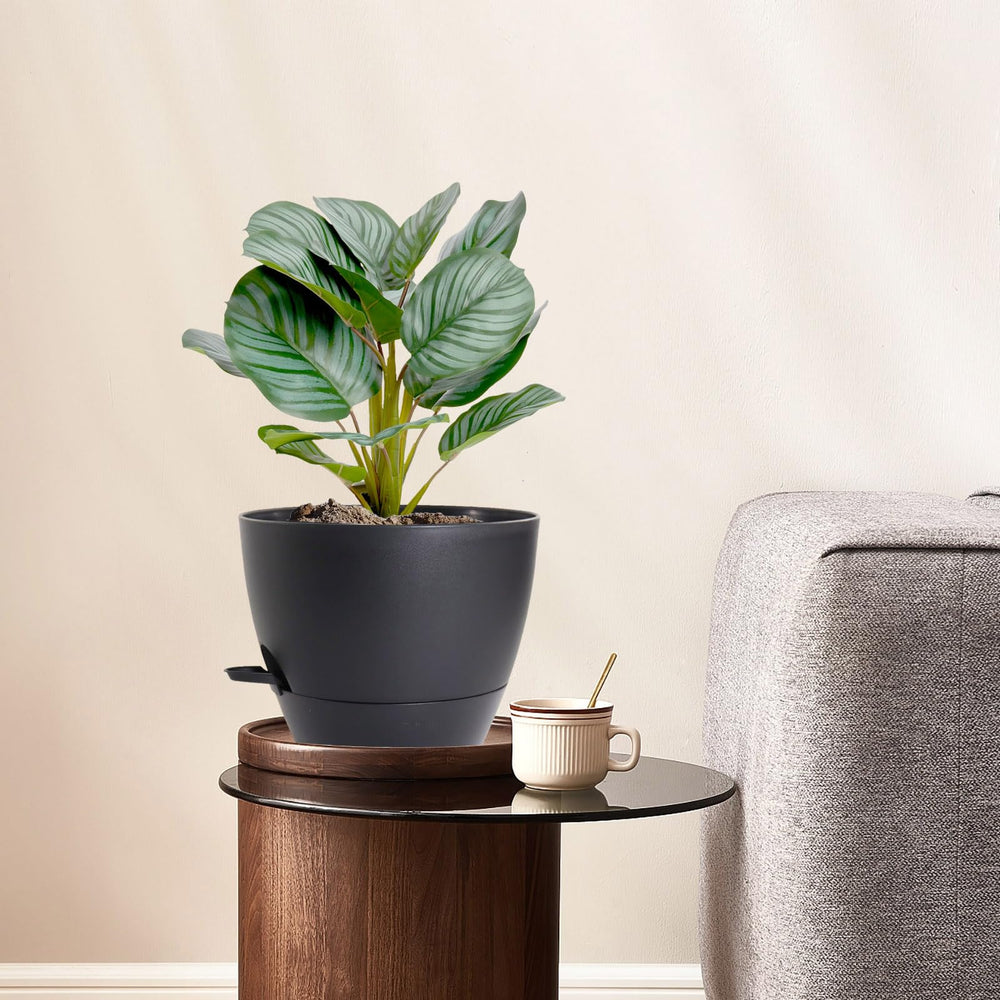 WSMKSZ built-in tray under pot protecting indoor surfaces from water damage benefit