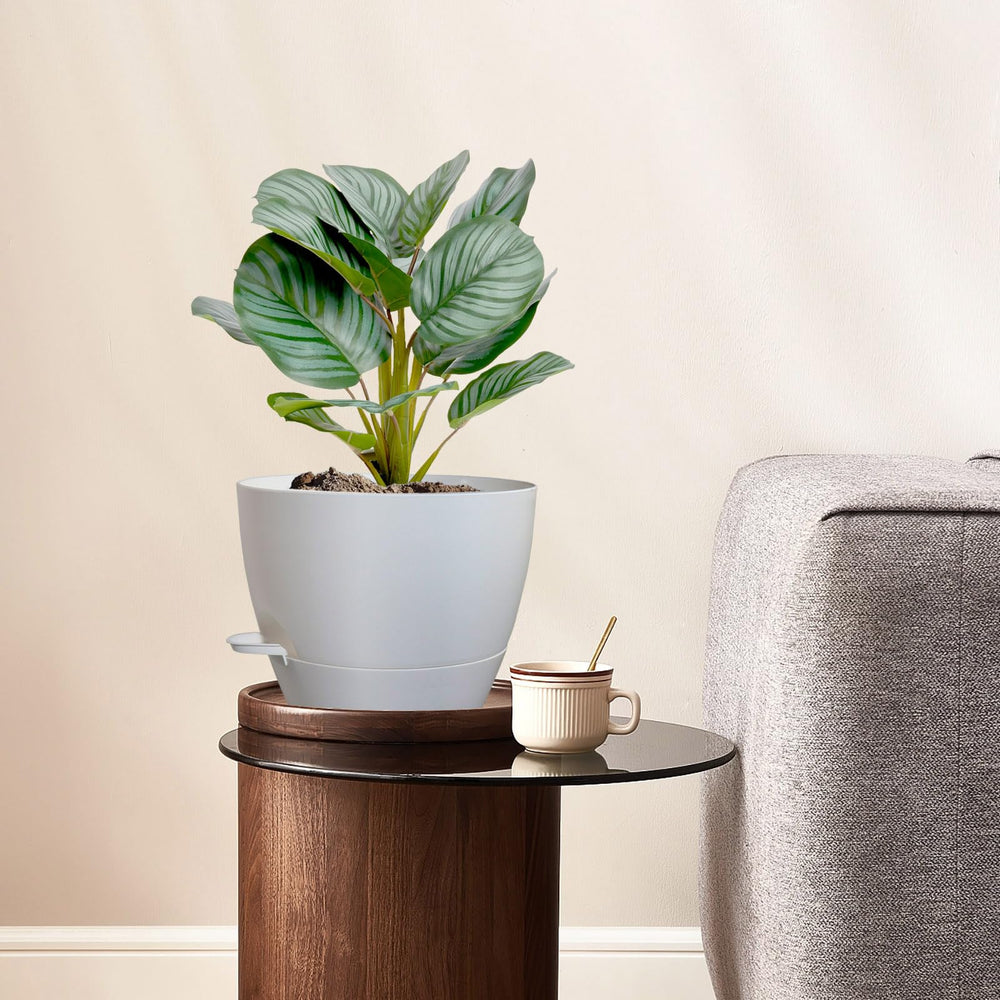 WSMKSZ built-in tray protecting wooden table from water damage and spills