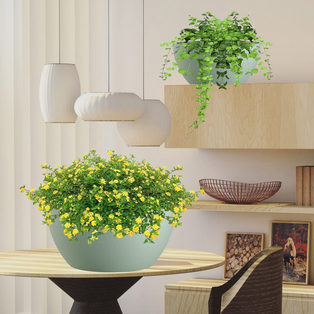WSMKSZ two-pack staged indoors showing decorative matching display benefit