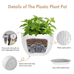 WSMKSZ planter in living room with plant showing style and indoor placement benefit