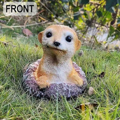 WTREEW meerkat close-up of textured fur detail enhancing realism