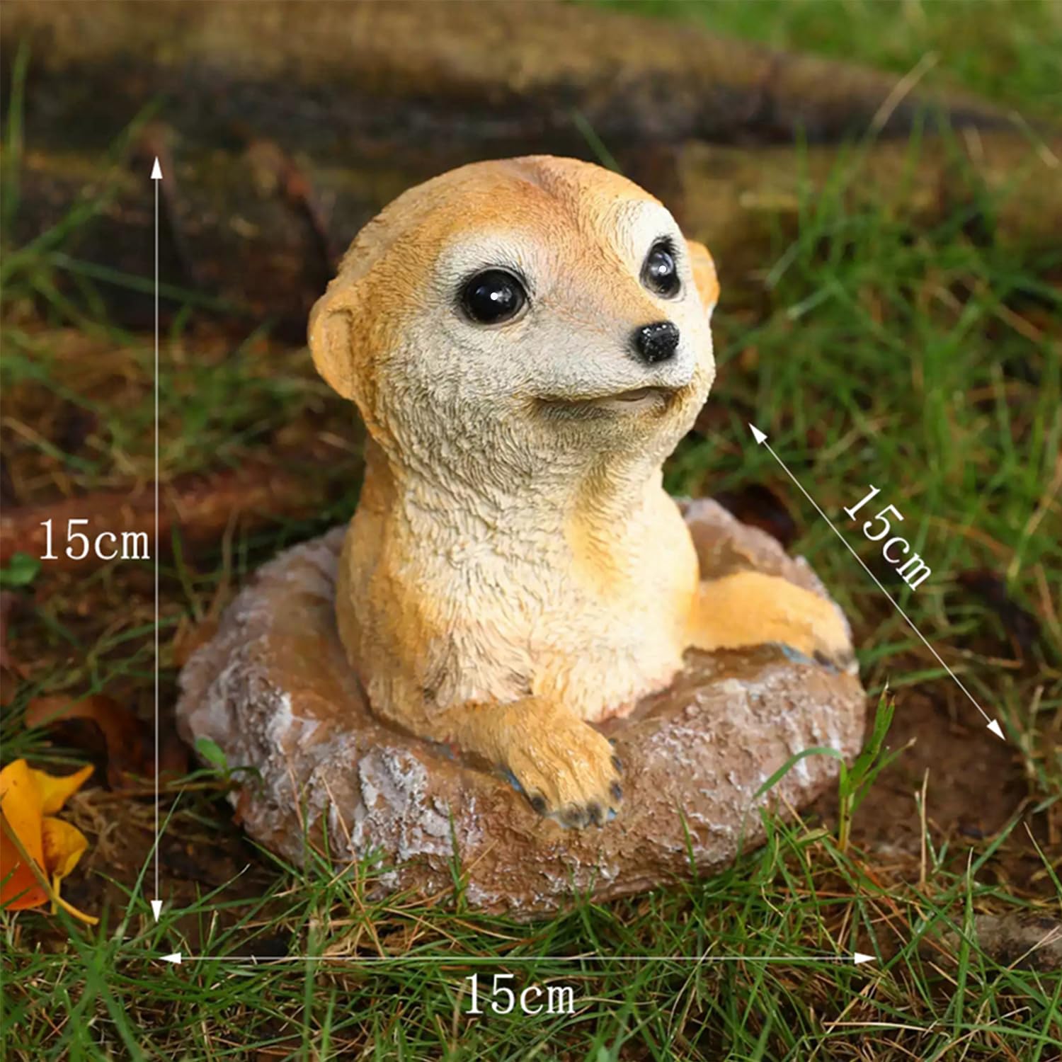 WTREEW meerkat packaging and label showing product ready to gift