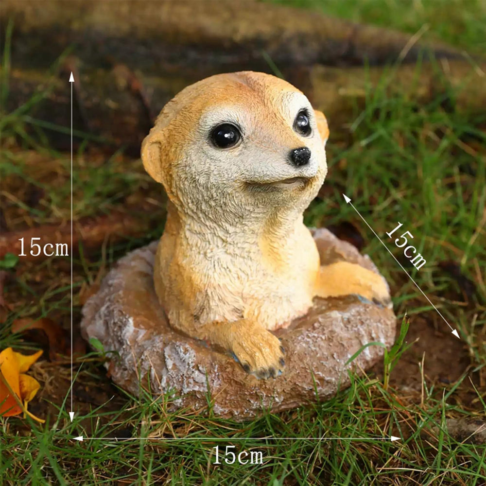 WTREEW meerkat packaging and label showing product ready to gift