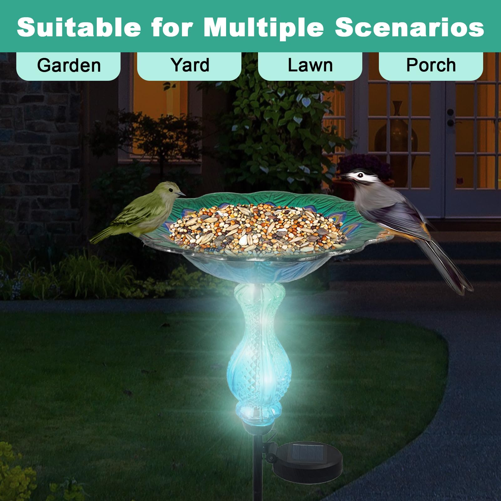 WUFEILY bowl filled with seeds and water, attracts wildlife easily