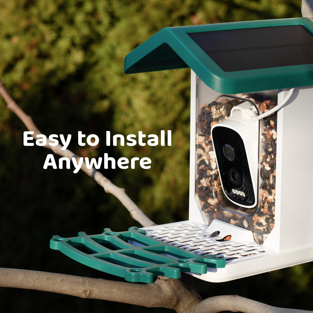 WuzuTech straps and screws kit showing simple installation benefit
