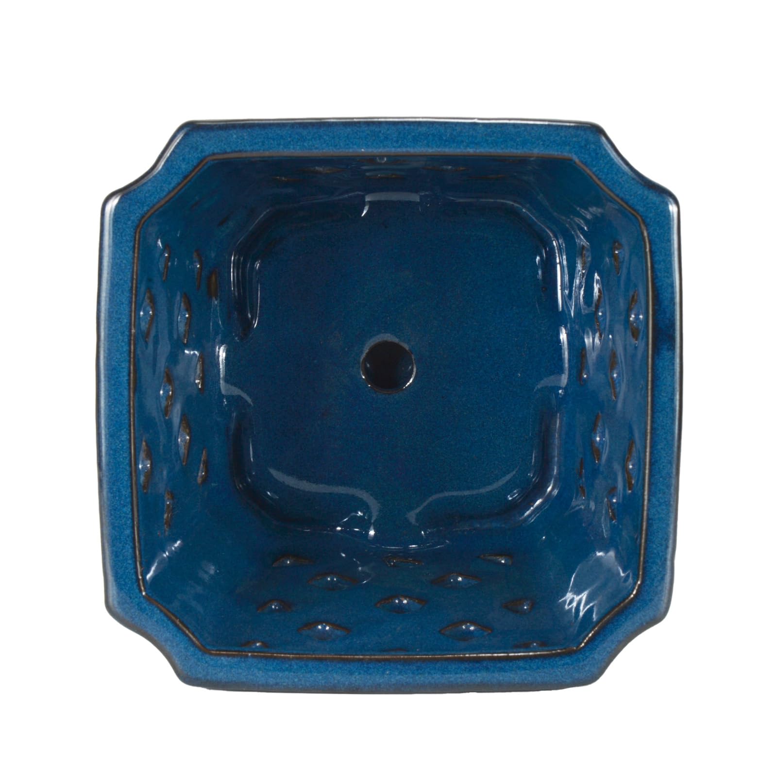 W&W ceramic pot in use with orchid showing healthy placement and display