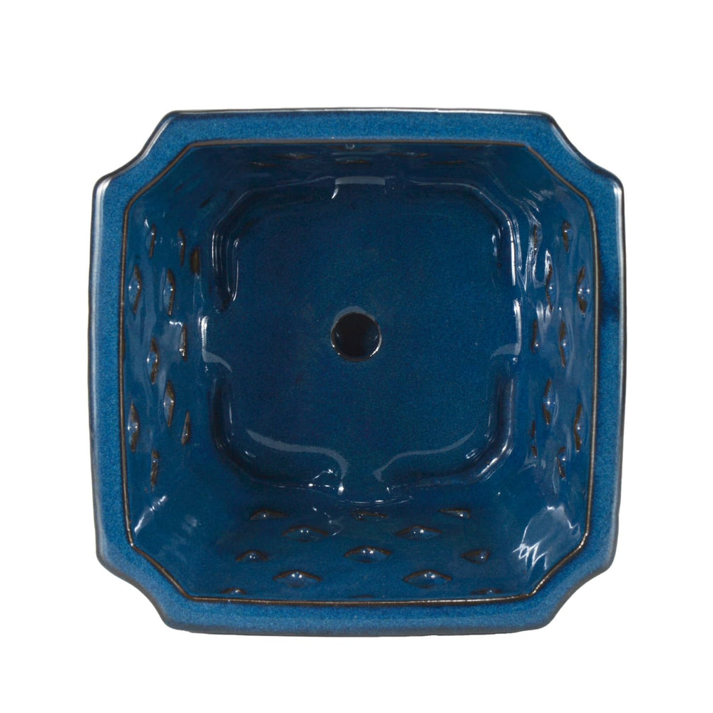 W&W ceramic pot in use with orchid showing healthy placement and display