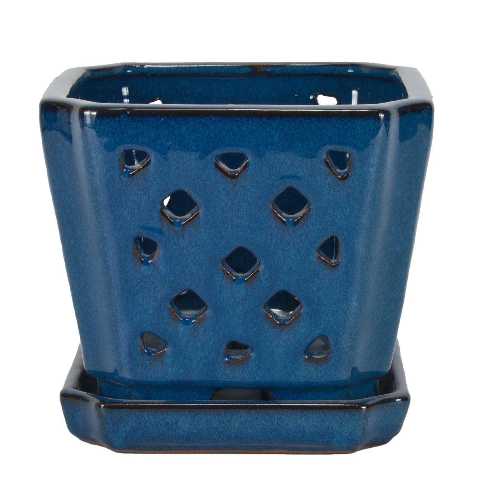 W&W top view highlighting the 7-inch opening ideal for repotting orchids