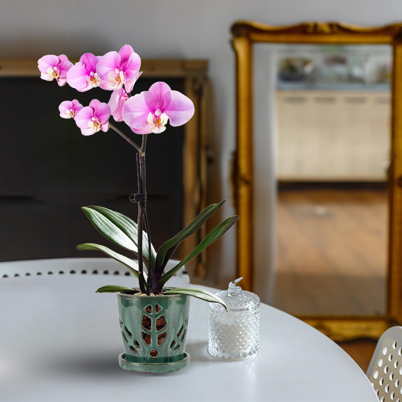 W&W orchid pot on windowsill lifestyle shot showing decorative home-ready look